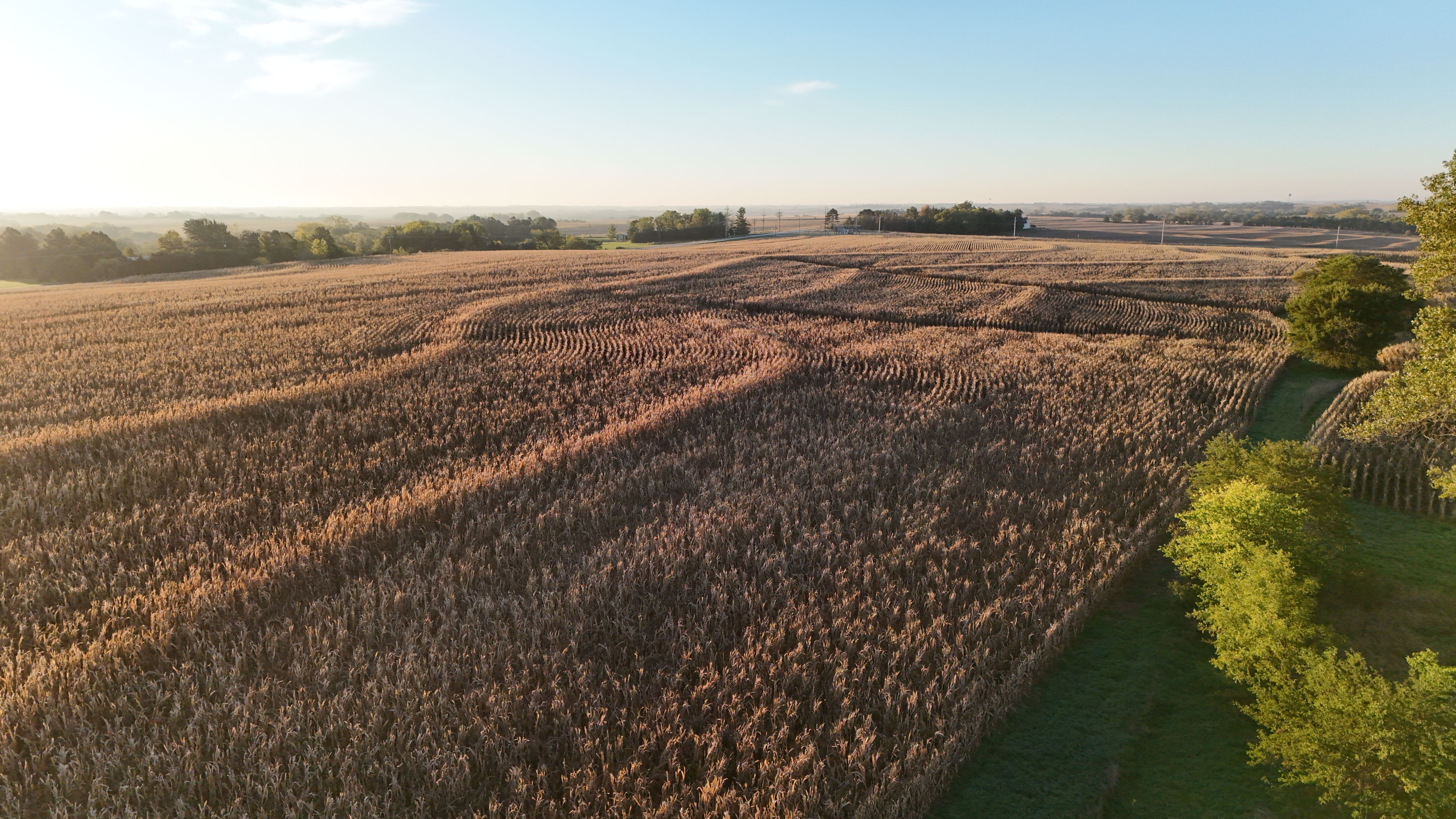 Listing Photo: lancaster-county-ne-125-acres (15)